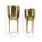 CosmoLiving by Cosmopolitan Gold Metal Glam Planter Set